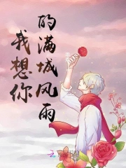 我想你的满城风雨