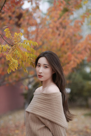 火影之超级侠道
